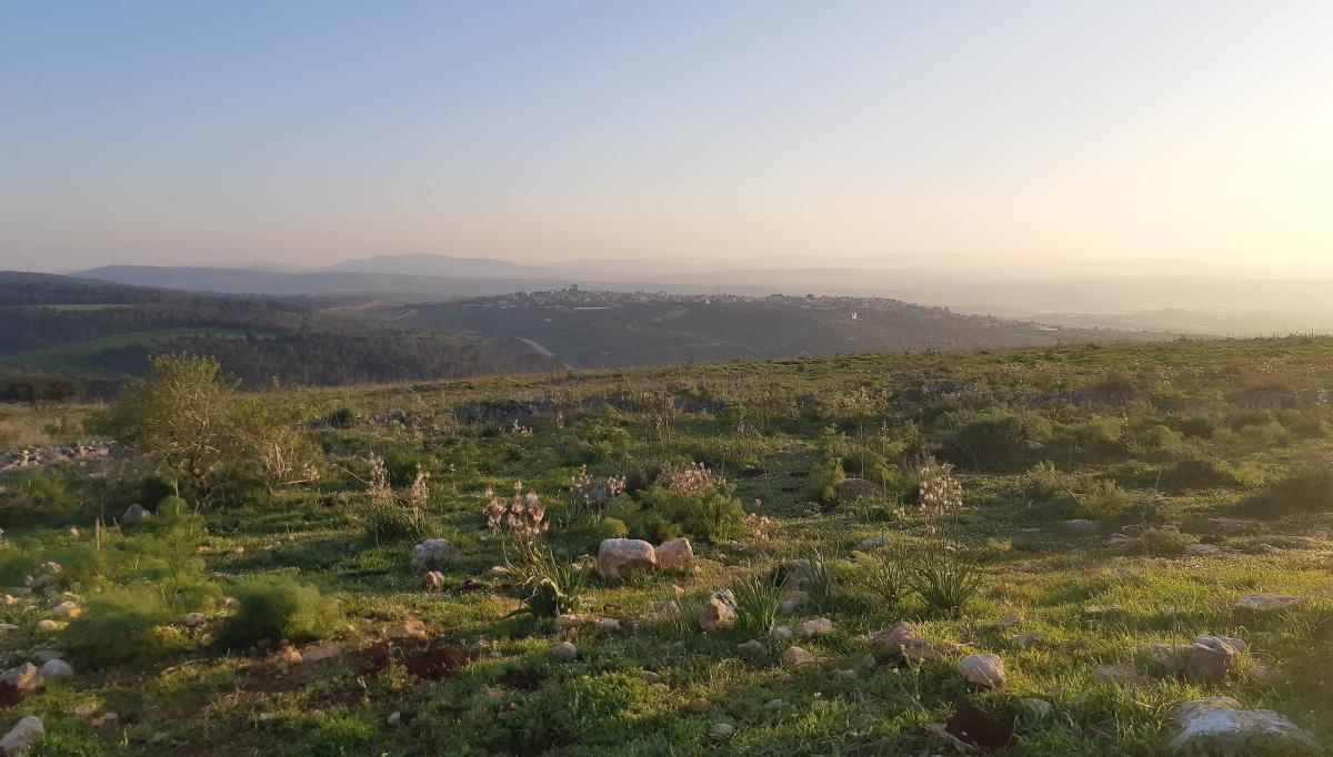  Village of Faqua, West Bank, from the Gilboa mountains
