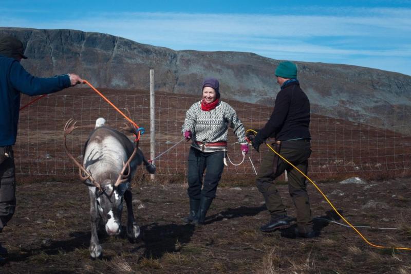 Indigenous people today - Sami