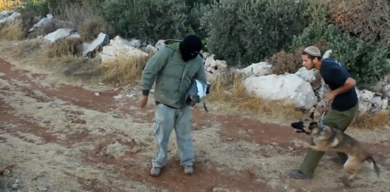 Screenshot from an IDU video showing training dogs to attack Palestinians