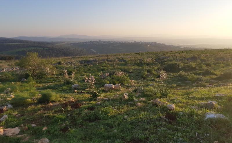  Village of Faqua, West Bank, from the Gilboa mountains