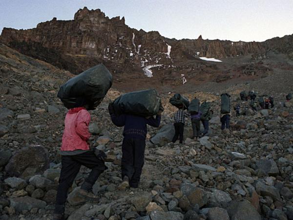 Muildieren op de Kilimanjaro