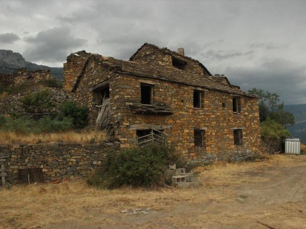 Puyuelo