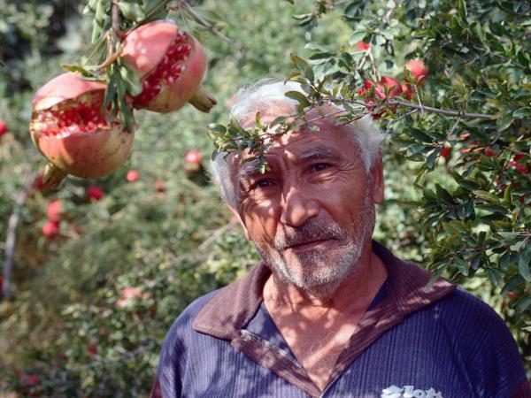 Farmer in Armenia