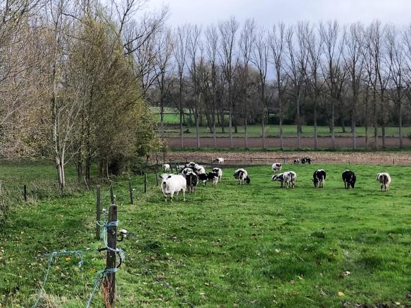 Een stikstofbom onder Vlaanderen