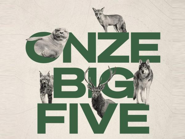 Onze Big Five