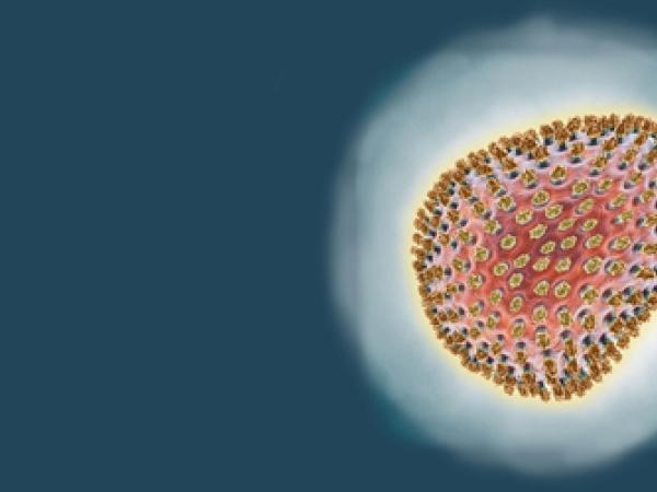 Dossier Mexicaanse griep