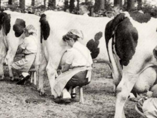 Het erf van mijn moeder